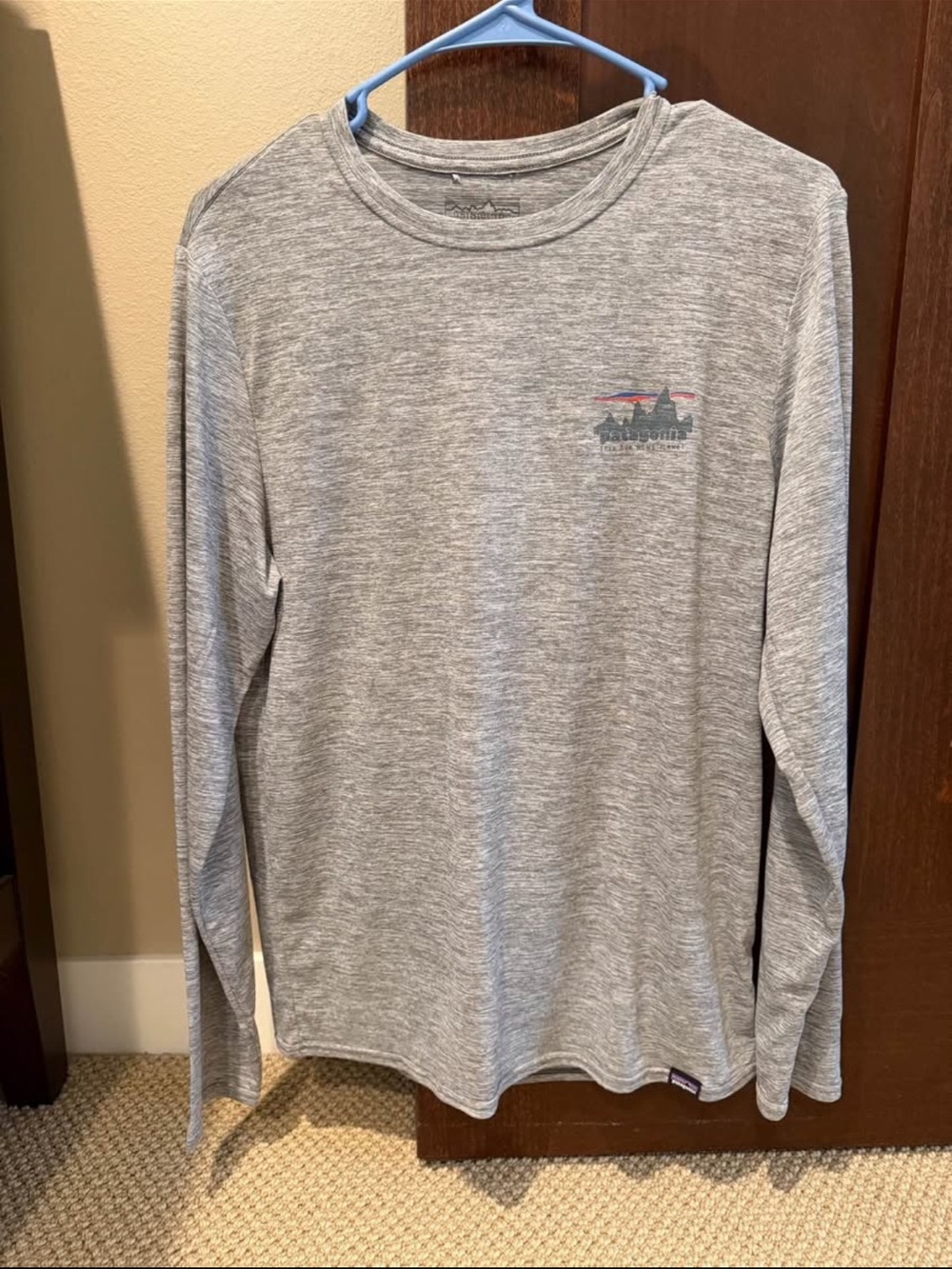 Patagonia Light Heather Gray Long-Sleeve Crewneck with Chest Graphic